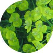 Neste Eesti töötaja Neste Eesti töötaja